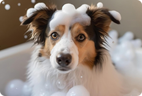 tsumugiのシャンプーのメリット1