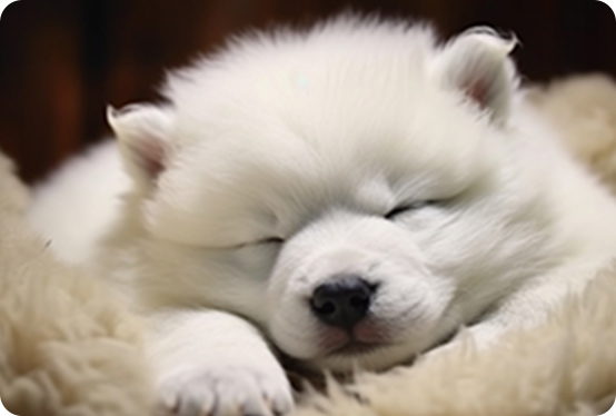 tsumugiのシャンプーのメリット2