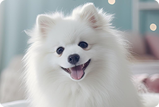 tsumugiのシャンプーのメリット3