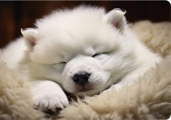 tsumugiのシャンプーのメリット2