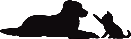 ネコちゃんの宿泊もOK