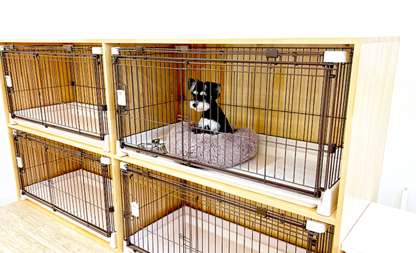 ケージの中のワンちゃん